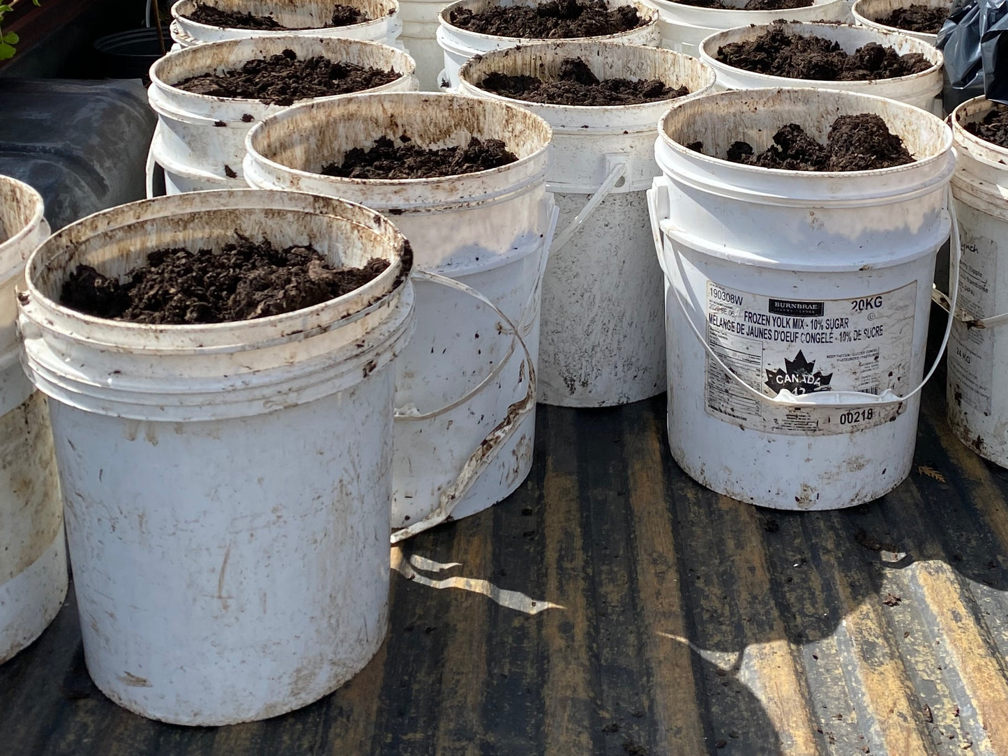 Hopcott Manure - BUCKET