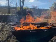 Saltspring  Bamboo Biochar