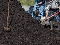 Hopcott Manure - LOOSE