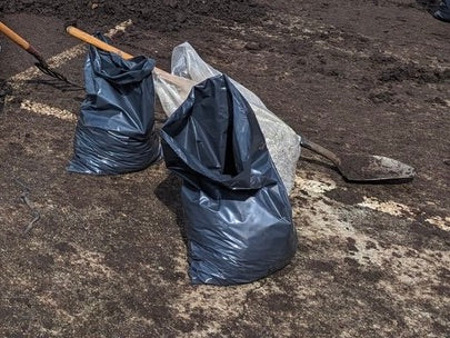 Hopcott Manure - BAG